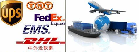 paste-pic-dp_uuid_tttdx