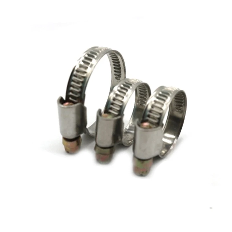 Germany hose clamp (10)
