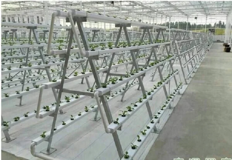 hydroponic aquaponics strawberry growing systems pvc gully