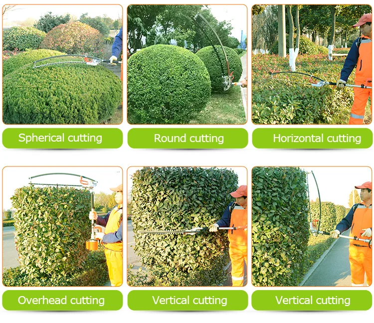 Manufacturer Supply Hedge Clipper with Low Noise for Bushes