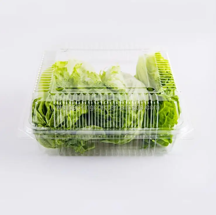 Popular Clamshell Packaging For Lettuce Buy Clamshell,Clamshell