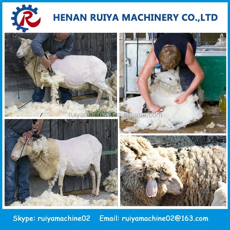 Small Vibration Sheep Shearing Machines Buy Sheep Shearing Machines,Fast Speed Sheep Shaver