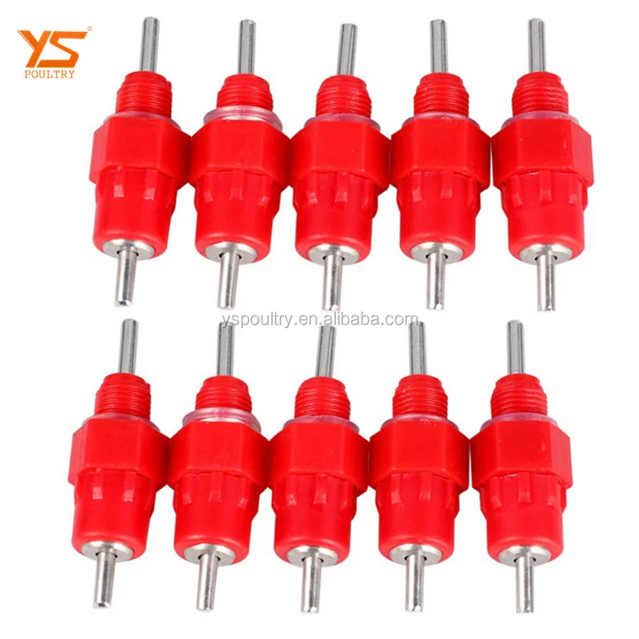 Nipple Drinker 5y.jpg