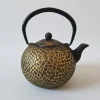 Gold Color Enamel Cast Iron Tea pot with SS Filter