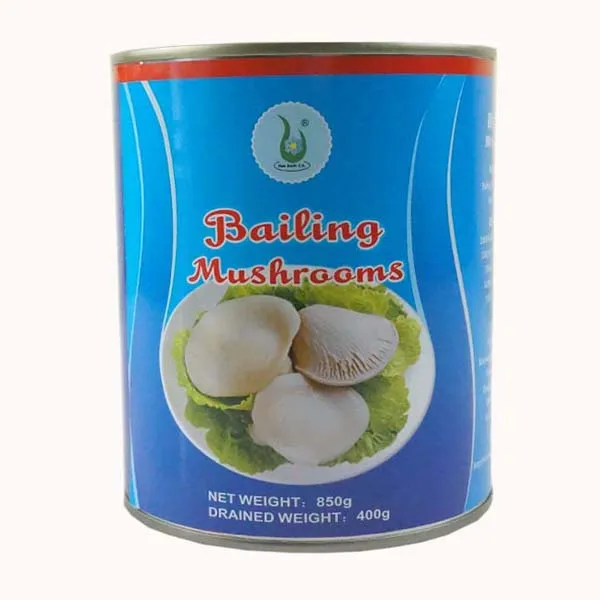 Canned food canned fruits canned vegetables
