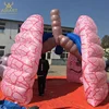 Outdoor activities giant inflatable medical inflatable products events inflatable lung