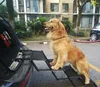 Folding 4 Steps Pet Stairs , Dog Stairs, Folding Dog Steps
