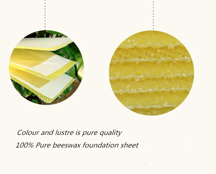 Best Quality Pure Natural Beeswax Comb Foundation Sheet Buy Best