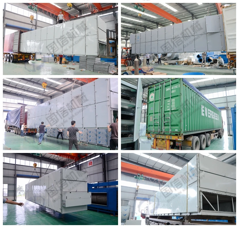 high profit agriculture vegetable pease mesh belt dryer