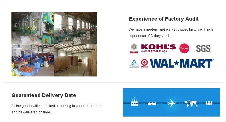 Stainless Steel Steak Knife Set Of 4 Pieces With Titanium Coating Blade And Double Blister Packing