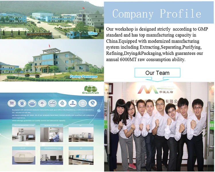 company profile.jpg
