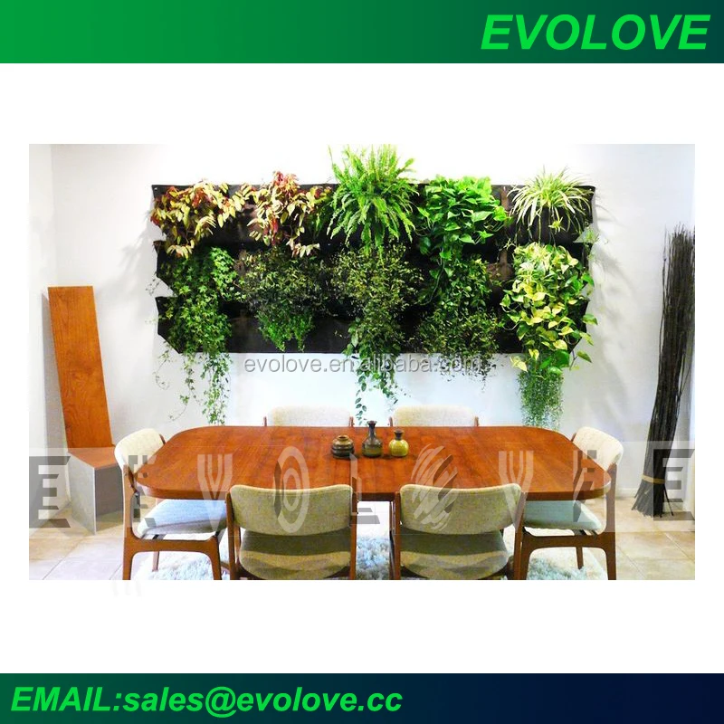 Kaufen Sie mit niedrigem Preis german Stück Sets - Großhandel german