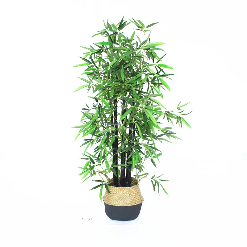 Grossiste bonsai  bambou  Acheter les meilleurs bonsai  