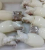 FROZEN CLEANED BABY CUTTLEFISH