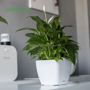 Christmas Plastic Flower Pots Ceramic Indoor Plant For Flower Pots Ceramic Indoor Plant