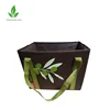 PP Non Woven foldable Shopping Box for Grocery