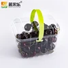 Square shape design disposable Plastic box fruit salad packaging With Handle