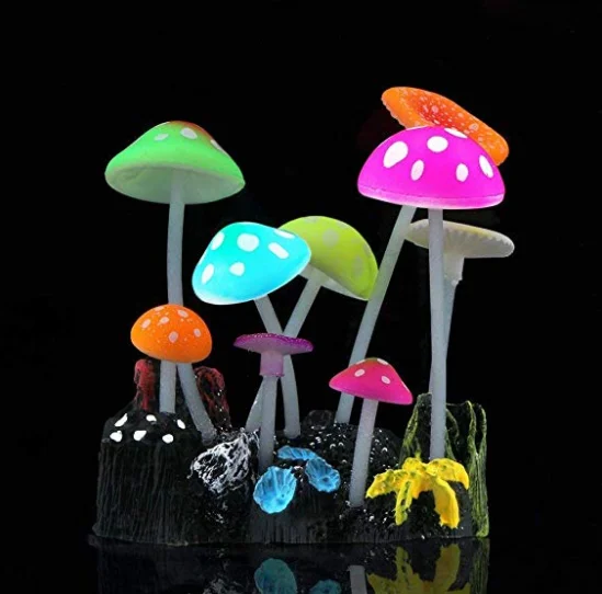 aquarium decoration 3.png