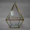Air Plant Hanging Golden Triangles Pyramid Geometric Glass Vase