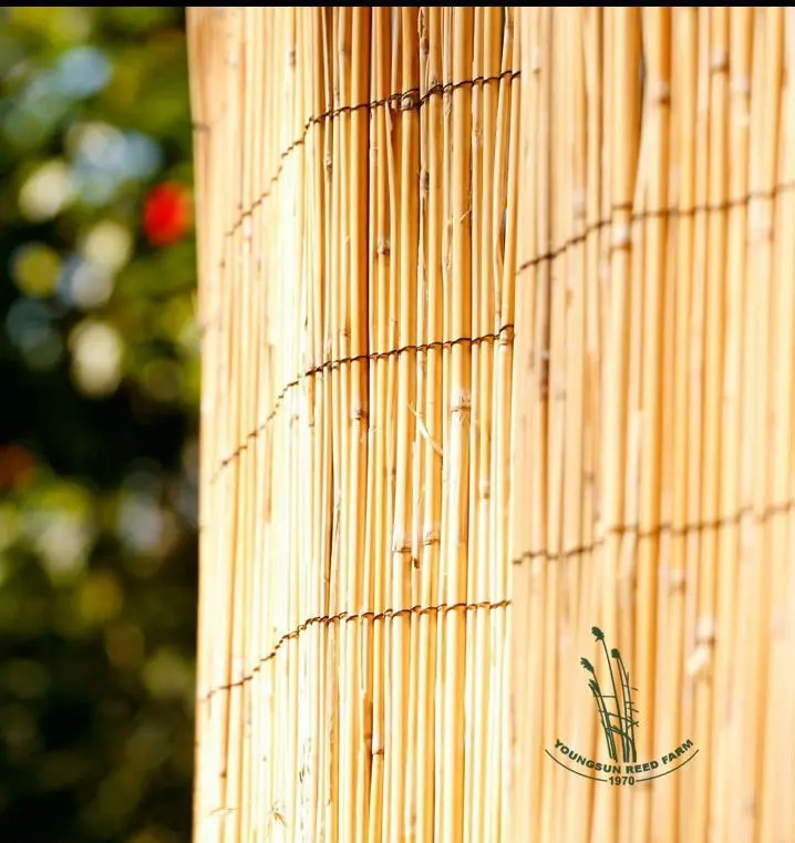 Natural Reed Fence For Gardening - Buy Reed Fence,Indoor Screening