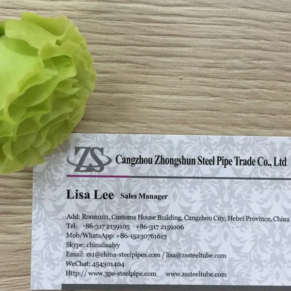 Name Card Lisa Lee.jpg