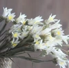 artificial Lilium Lily flower and dried flower handicrafts