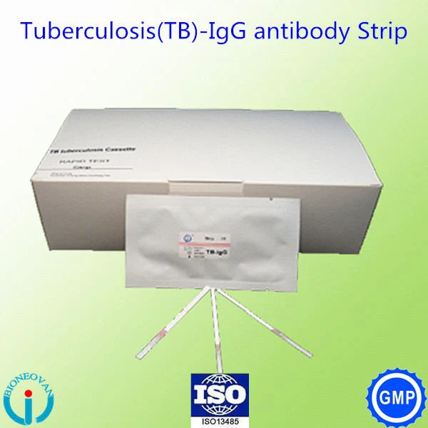 Gold Method High Efficiency Tb Rapid Test For Lung Detection Buy Tb