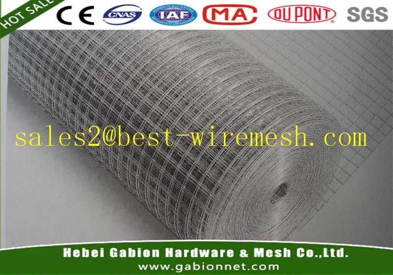 1/4 Inch Stainless Steel Hardware Cloth(48"x100") Buy 1/4 Inch