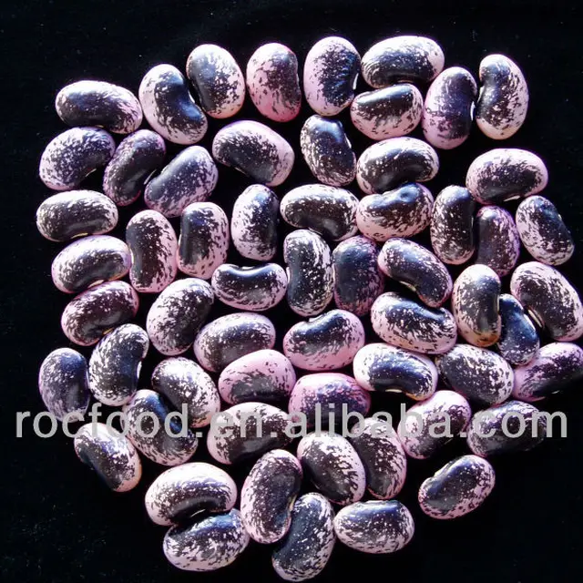 black speckled bean