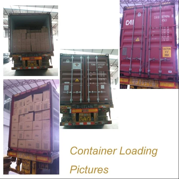 paste-pic-dp_uuid_81dky