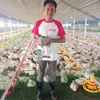 /product-detail/automatic-chicken-farming-material-for-chicken-floor-breeding-62036926054.html