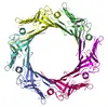 Custom Protein Expression