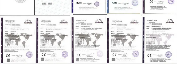 DY120401-Ford-ID4C-Chip_06