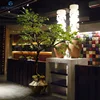 Artificial Japanese Camping Autumn Maple Tree for Garden Decoration