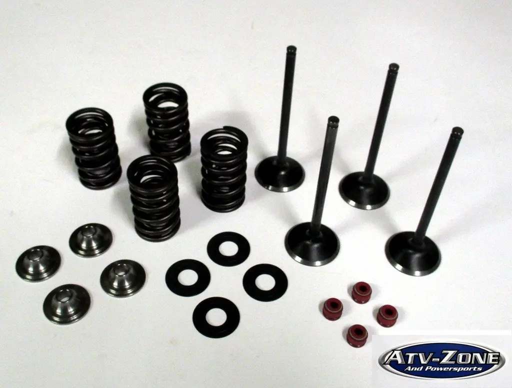 Stainless Steel Intake and Exhaust Valves with Spring Kit Raptor 660R 2001-2005