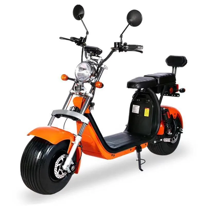 Citycoco Removable Battery With Two Seats And Backrest Buy Electric