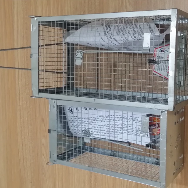 bird cage for rats