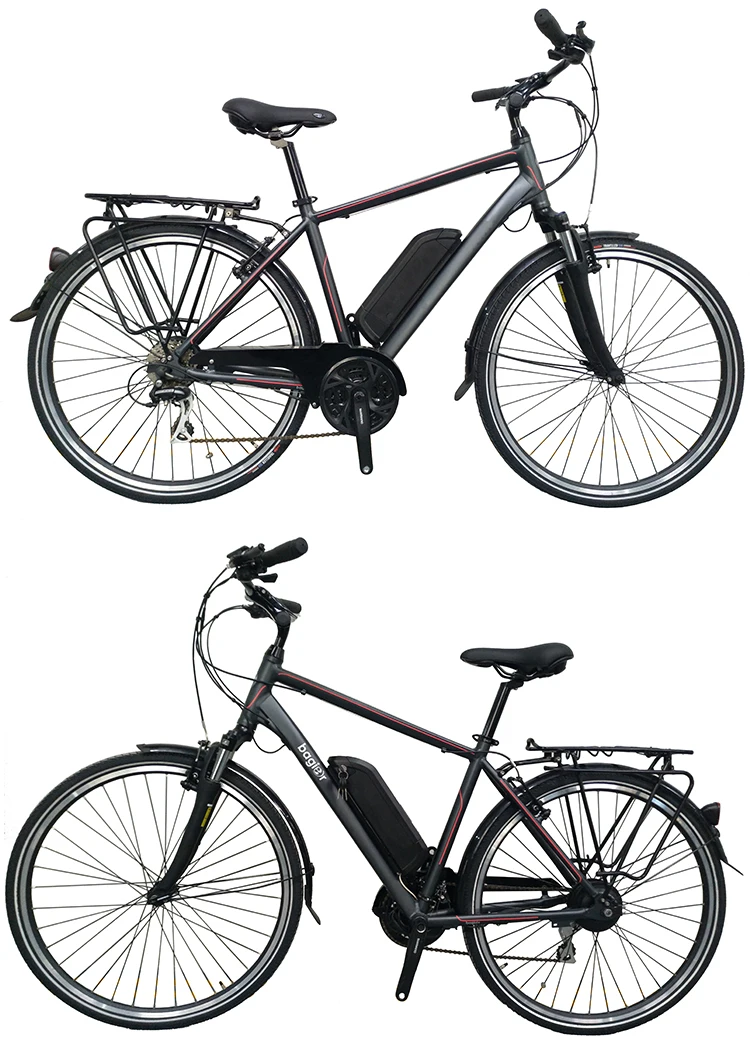OEM CE EN15194 Electric Bike