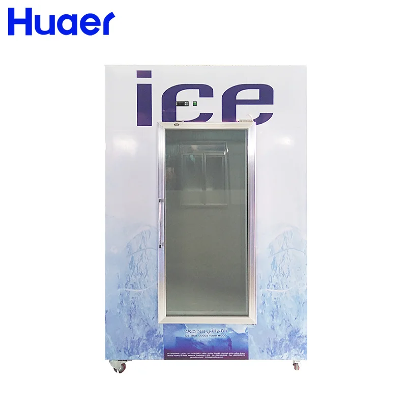 Auto-Defrost Bagged Ice Storage Bin Freezer Ice Merchandiser - China  Merchandiser and Cold Storage Bin price