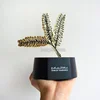 Wholesale UAE 2019 Trending Product Year Of Tolerance Trophy Gold Desk Decoration