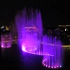 Outdoor&Indoor Pool Peacock Water Features For The Stage Performance Show