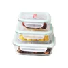 Wholesale FDA Square glass vacuum food storage container set/food container/ microwave with locking lids glass bowl set new