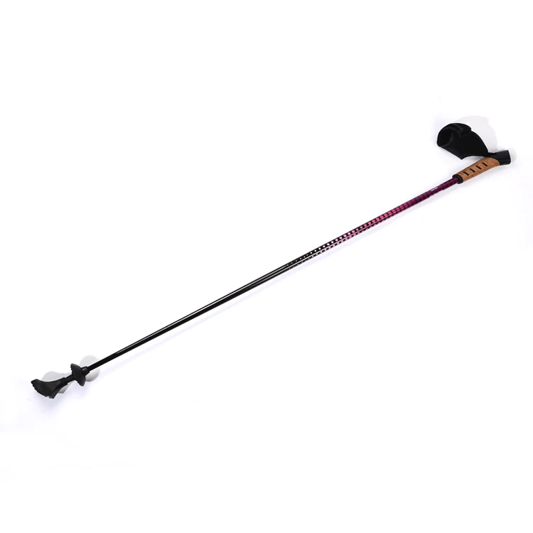 Ski pole