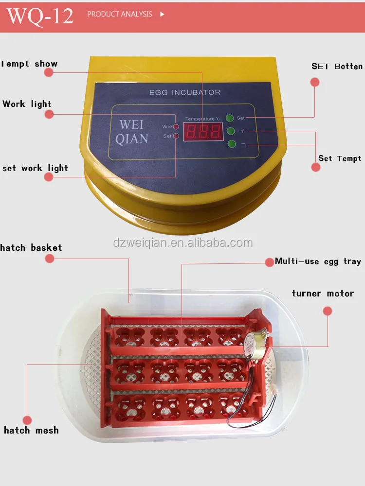 New Type 12 Egg Mini Incubator,Mini Egg Incubator Wq-12 ...