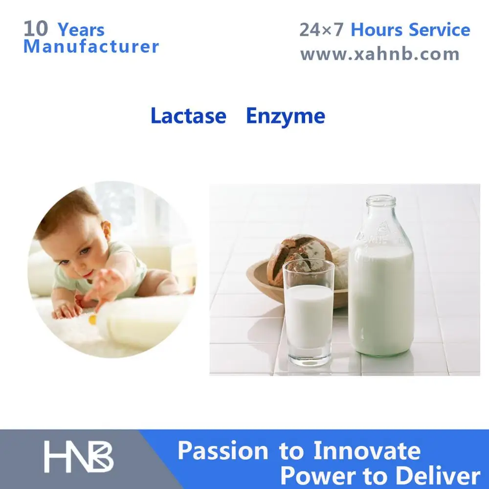 Natural 10000100000u/g Enzyme Activity Lactase Enzyme Buy Lactase