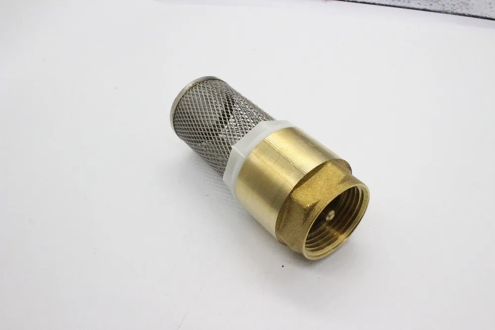 Green-gutentop Female Threaded Check Valve Stainless Steel Filter Mesh ...