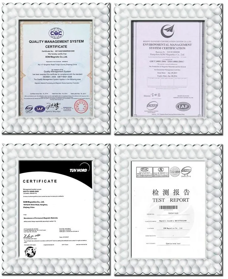 Free Samples Professional N35- N52 (M,H,SH,UH,EH) Neodymium Magnet