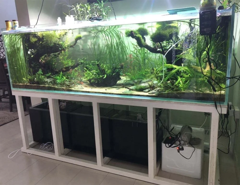 Ada Design Frameless Low Iron Glass Overflow Box Fish Tank - Buy Glass ...