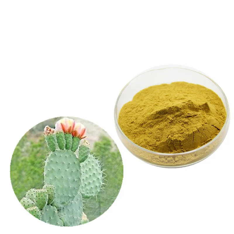 экстракт опунции. экстракт кактуса. опунции и гарцинии экстракт. экстракт кактуса. экстракт опунции.