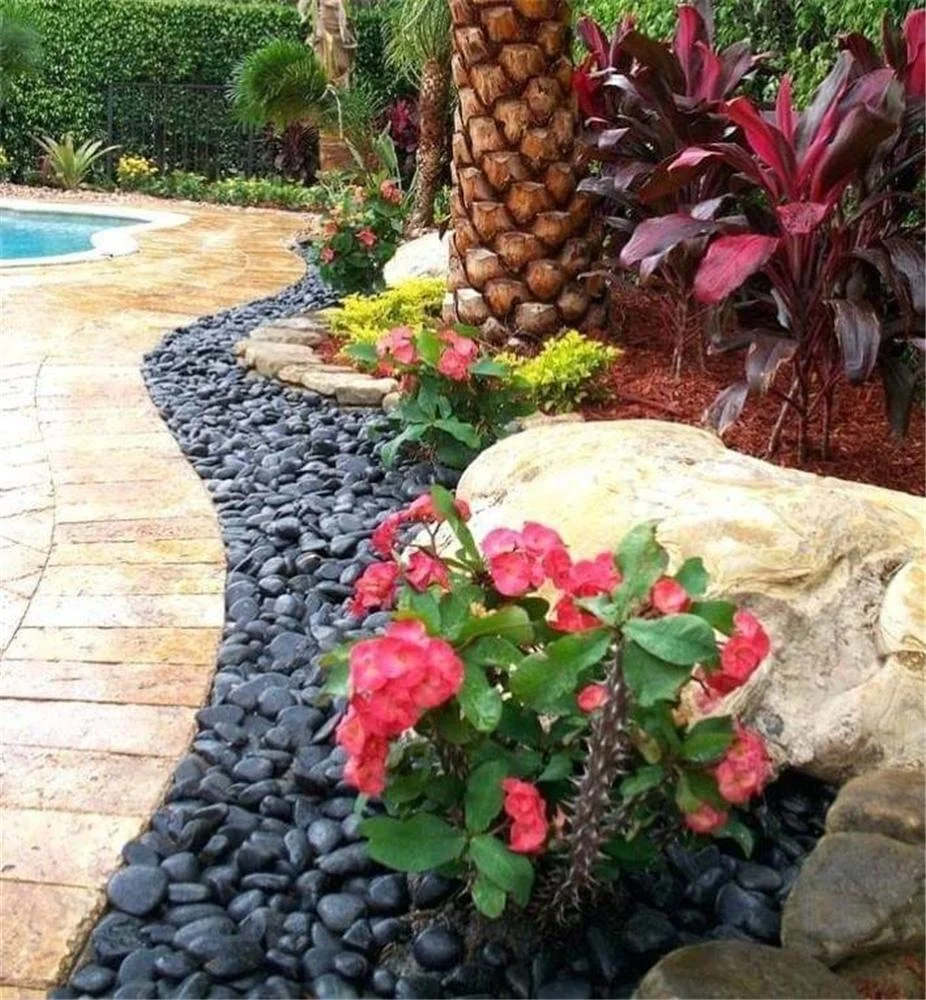 1 (59).jpg